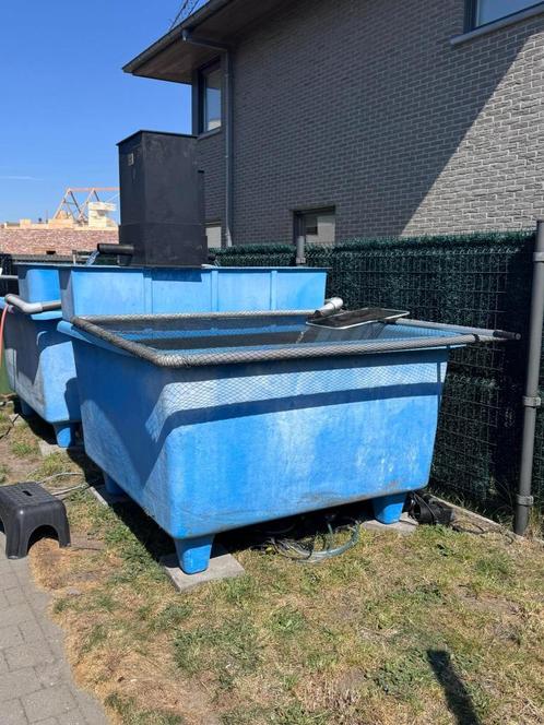 quarantaine bak + filtermateriaal, Dieren en Toebehoren, Overige Dieren-accessoires, Gebruikt, Ophalen