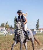 Viv Van’t Heihoefke, Dieren en Toebehoren, Merrie, Springpaard, B, 3 tot 6 jaar