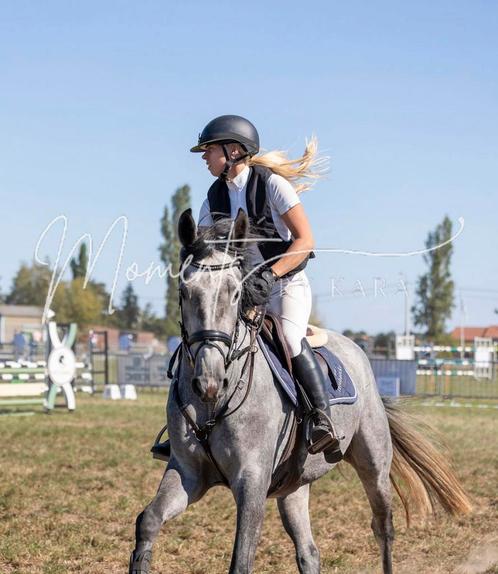 Viv Van’t Heihoefke, Dieren en Toebehoren, Paarden, Merrie, B, 160 tot 165 cm, 3 tot 6 jaar, Springpaard