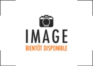 Peugeot 308 1.4i / 50.000km beschikbaar voor biedingen