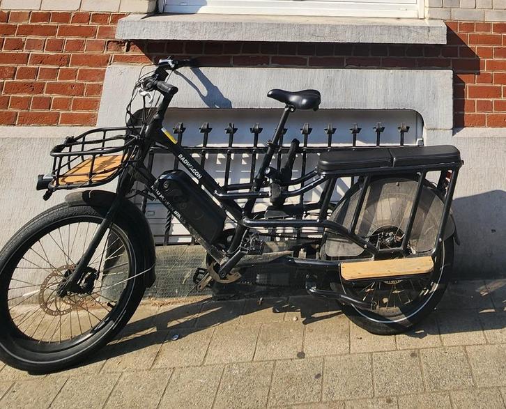 Elektrische longtailfiets, Fietsen en Brommers, Elektrische fietsen, Gebruikt, Overige merken, Ophalen