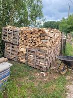 popelier, Tuin en Terras, Brandhout, Ophalen