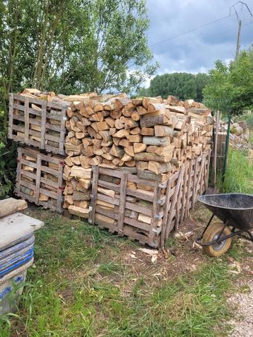 popelier, Tuin en Terras, Brandhout, Ophalen