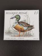 Belgique 1989 - oiseaux - canards - canard souchet, Timbres & Monnaies, Enlèvement ou Envoi, Affranchi, Autre
