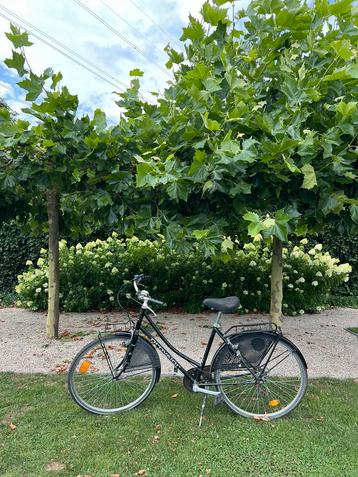Ideale studentenfiets beschikbaar voor biedingen