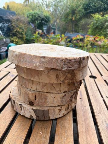 10 grote houten boomstammen beschikbaar voor biedingen