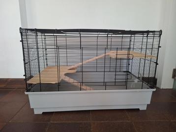 Hok voor kleine knaagdieren of vogels beschikbaar voor biedingen
