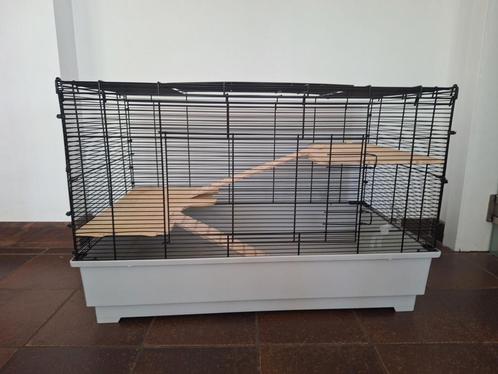 Hok voor kleine knaagdieren of vogels, Dieren en Toebehoren, Knaagdieren en Konijnen | Hokken en Kooien, Zo goed als nieuw, Hok