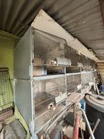Cage à lapin en béton, Ophalen of Verzenden, Zo goed als nieuw