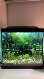 Aquarium 30L, Dieren en Toebehoren, Vissen | Aquaria en Toebehoren, Ophalen of Verzenden, Zo goed als nieuw