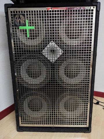 SWR Goliath Senior 6x10 beschikbaar voor biedingen