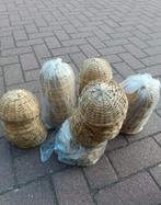 Pitriet nesten 12/13cm, Dieren en Toebehoren, Ophalen of Verzenden, Nieuw, Overige typen