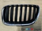 Grill links zwart chroom BMW X5 E53 51137124815, Auto-onderdelen, Gebruikt, Ophalen of Verzenden, BMW, BMW