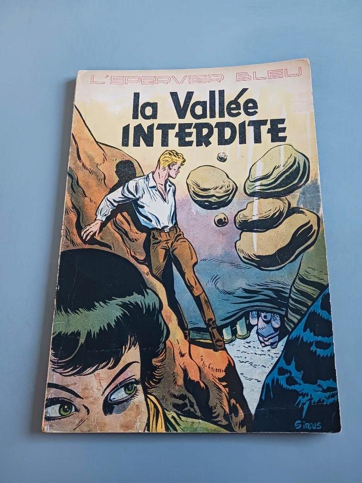 L' épervier Bleu, la Valléé Interdite, 1st druk, goede staat, Livres, BD, Utilisé, Enlèvement ou Envoi