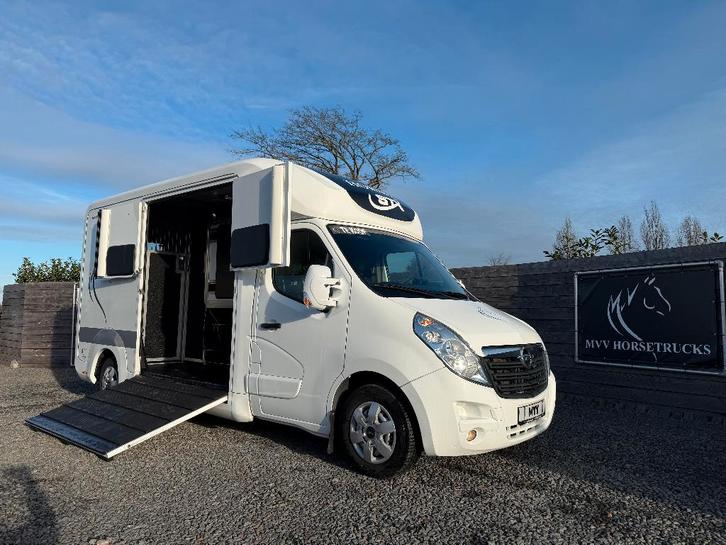 OPEL | PAARDENWAGEN | 2019 | HORSETRUCK | STX | STALLION 3XL, Dieren en Toebehoren, Paarden en Pony's | Trailers en Aanhangwagens