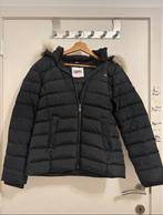 Tommy Hilfiger jas maat L, Kleding | Dames, Zwart, Maat 42/44 (L), Ophalen of Verzenden, Zo goed als nieuw