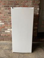 Réfrigérateur Proline, Met vriesvak, Gebruikt, 140 tot 160 cm, 45 tot 60 cm