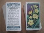 Wild Flowers complete set 50 chromos bloemen 1923 Wills, Ophalen of Verzenden, Voor 1940, Natuur