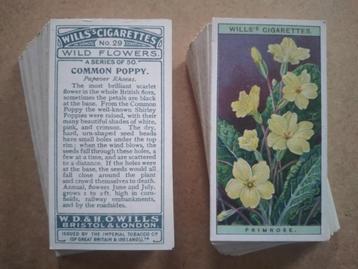 Wild Flowers complete set 50 chromos bloemen 1923 Wills beschikbaar voor biedingen