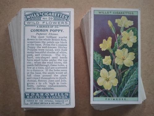 Wild Flowers complete set 50 chromos bloemen 1923 Wills, Verzamelen, Foto's en Prenten, Natuur, Voor 1940, Ophalen of Verzenden