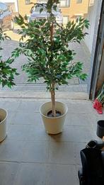 Kunst planten 1.70 CM hoog, Tuin en Terras, Planten | Bomen, Bloeit niet, Halfschaduw, 100 tot 250 cm, Overige soorten