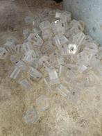 Stekkenbakjes, koralenhouders, koraal, lagere dieren sps lps, Slak of Weekdier, Zoutwatervis