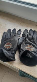 Handschoenen harley davidson maat large, Motoren, Heren, Handschoenen