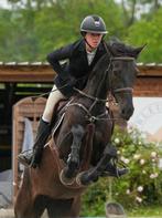 Veelzijdige 6 jarige merrie, Merrie, Springpaard, Gechipt, 3 tot 6 jaar