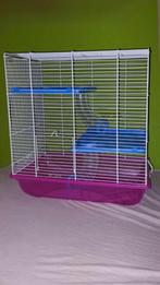 Cage à hamster ou autres..., Minder dan 60 cm, Kooi, Hamster, Minder dan 75 cm