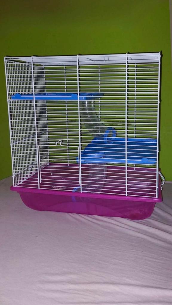 Cage à hamster ou autres..., Dieren en Toebehoren, Knaagdieren en Konijnen | Hokken en Kooien, Zo goed als nieuw, Kooi, Minder dan 60 cm