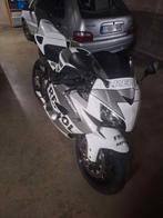 Honda cbr 1000rr fireblade, Motoren, Motoren | Honda, Particulier, Quickshifter