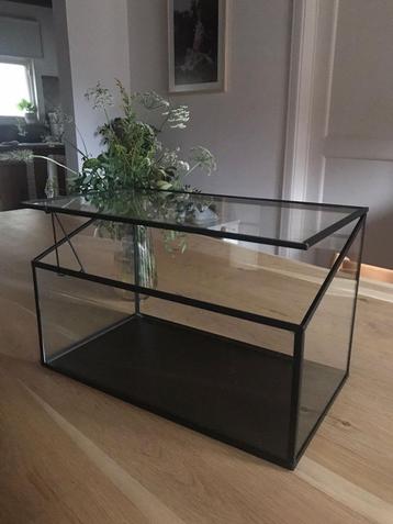 Kweekkas beschikbaar voor biedingen