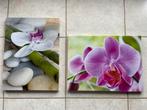 2 canvassen met orchideeën NIEUW, Ophalen of Verzenden, Nieuw