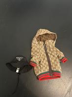 Gucci vestje en prada hoedje hondjes, Ophalen of Verzenden, Zo goed als nieuw