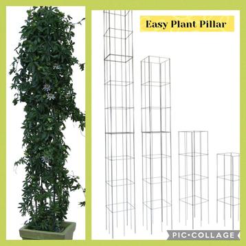 planten rekken klimplantenrekken clematis jasmijn klimrozen beschikbaar voor biedingen