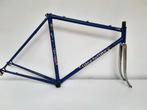 gios frame GT vork    giro d'italia  tribute bike, Ophalen of Verzenden