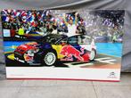 Groot reclamebord Citroën Sébastien Loeb wereldkampioen, Ophalen, Zo goed als nieuw, Reclamebord