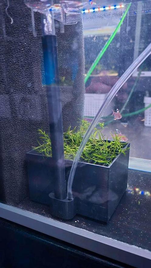 Automatische egg catchers. Gamechanger., Dieren en Toebehoren, Vissen | Aquaria en Toebehoren, Zo goed als nieuw, Ophalen