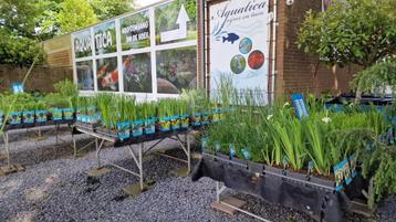 Zwemvijver beplanting ! Specialist ! beschikbaar voor biedingen