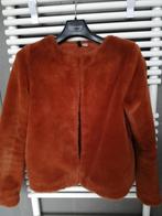 vestje in velours faux fur  maat S divided  roest kleur, Kleding | Dames, Ophalen of Verzenden, Zo goed als nieuw, Maat 36 (S)
