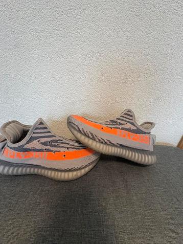 Yeezy schoenen  beschikbaar voor biedingen