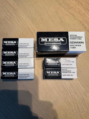 Mesa Boogie tubes, Muziek en Instrumenten, Versterkers | Bas en Gitaar, Ophalen of Verzenden, Nieuw, Gitaar, Minder dan 50 watt