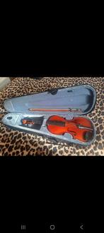 Violon + étui, Enlèvement, Violon