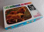 Oud bordspel 1970 - Animals of the world, Kinderen en Baby's, Speelgoed | Educatief en Creatief, Ophalen of Verzenden, Zo goed als nieuw