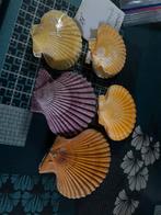 Schelpen, Verzamelen, Mineralen en Fossielen, Ophalen of Verzenden, Schelp(en)