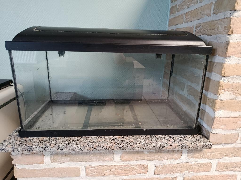 Aquarium, Enlèvement, Utilisé