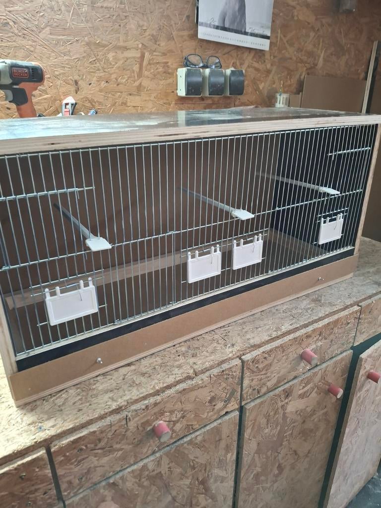 Nieuw vogelkooi, Dieren en Toebehoren, Ophalen, Nieuw, Hout, Vogelkooi