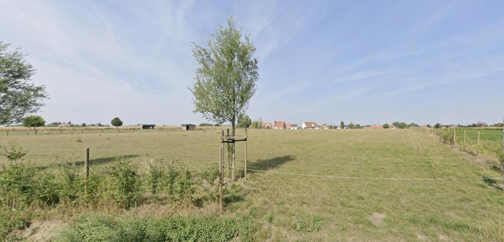 terres agricoles et pâturages à vendre, Immo, Dentergem, Ventes sans courtier, 1500 m² ou plus