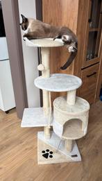 Arbre a chat beige, Enlèvement, Utilisé, Griffoir
