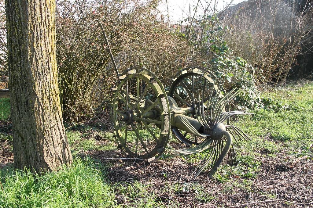 Arracheuse pommes de terre LANZ, Articles professionnels, Agriculture | Pommes de terre, Légumes, Fruits & Viande, Enlèvement